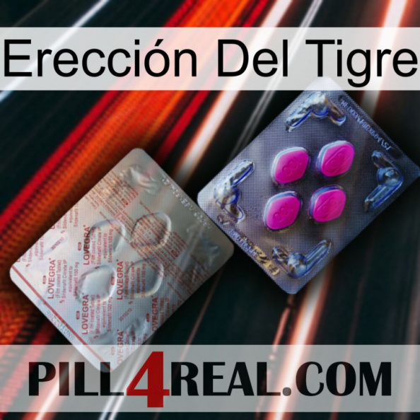 Erección Del Tigre 38.jpg